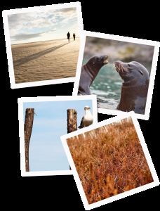 Impressionen aus Friedrichskoog